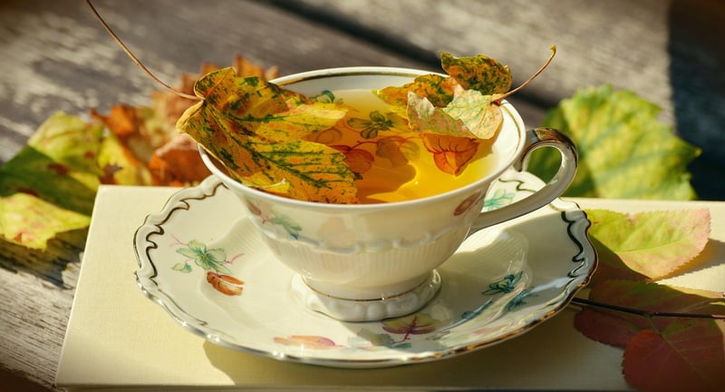 Teacup Garden